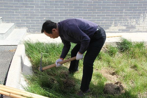 米乐官网师生到贺阳国际中小学参加劳动