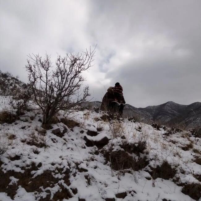 梅花香自苦寒来---米乐官网杜鹃同学网课学习纪实