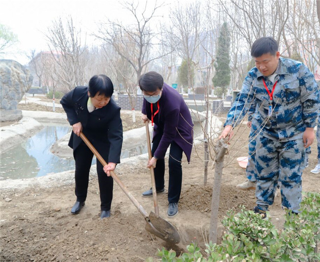春满校园 共植希望—— 米乐官网开展植树节活动