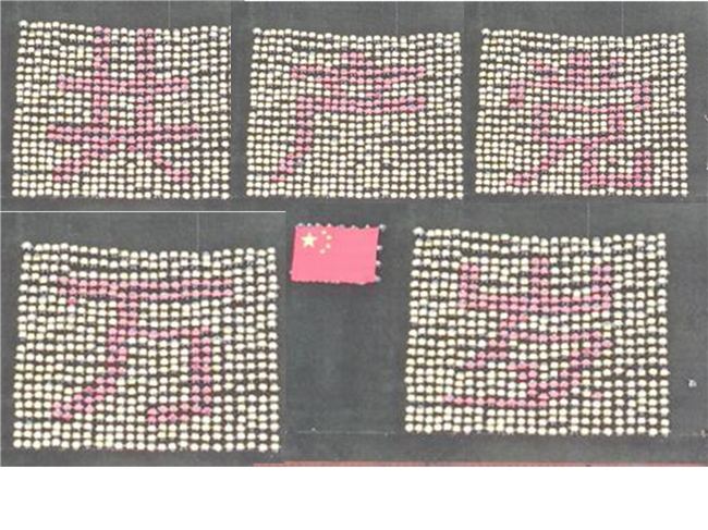 青春无悔  逐梦启航米乐官网举行2021级新生军训结营式暨开学典礼