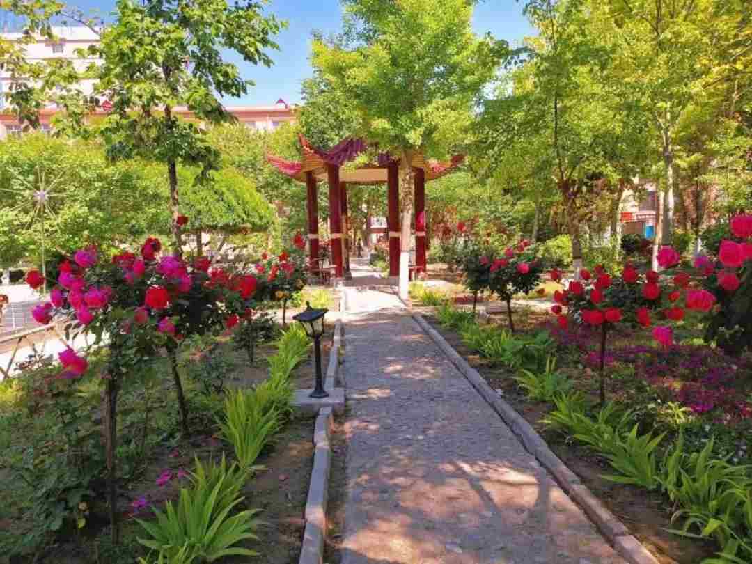 谈一别奋斗路 聚四载同窗情  ——米乐mile官方网站2022届毕业 生欢送会