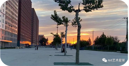 米乐mile官方网站//艺术学院//青春榜样（五）