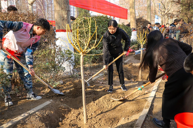 “植”此青绿 共“树”未来--米乐mile官方网站开展植树节主题活动
