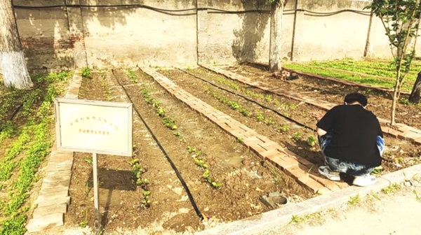 米乐mile官方网站||管理学院||以劳育人树新风 筑梦青春共成长