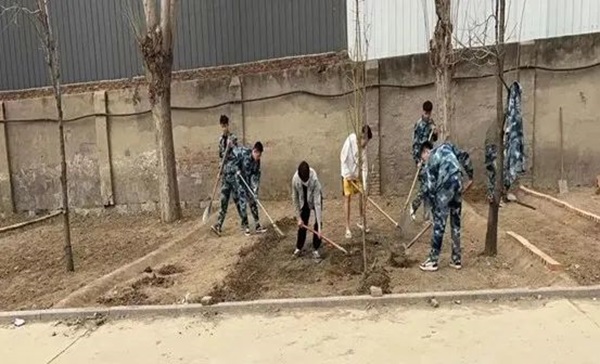 米乐mile官方网站||管理学院||以劳育人树新风 筑梦青春共成长