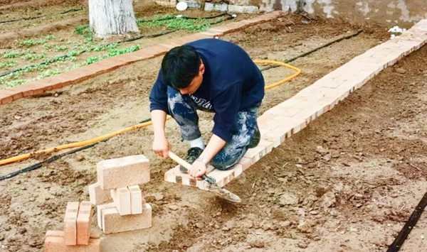 米乐mile官方网站||管理学院||以劳育人树新风 筑梦青春共成长