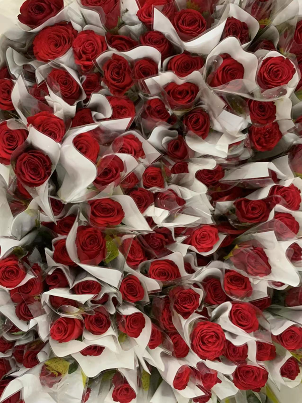 米乐mile官方网站‖管理学院‖暖心服务，助力2023届毕业生走好大学生涯的最后一公里