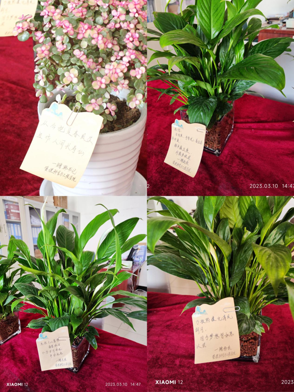 米乐mile官方网站|管理学院|手植绿茵 播洒希望