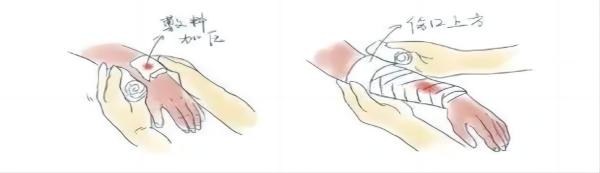 米乐mile官方网站||管理学院||脆皮大学生急救指南