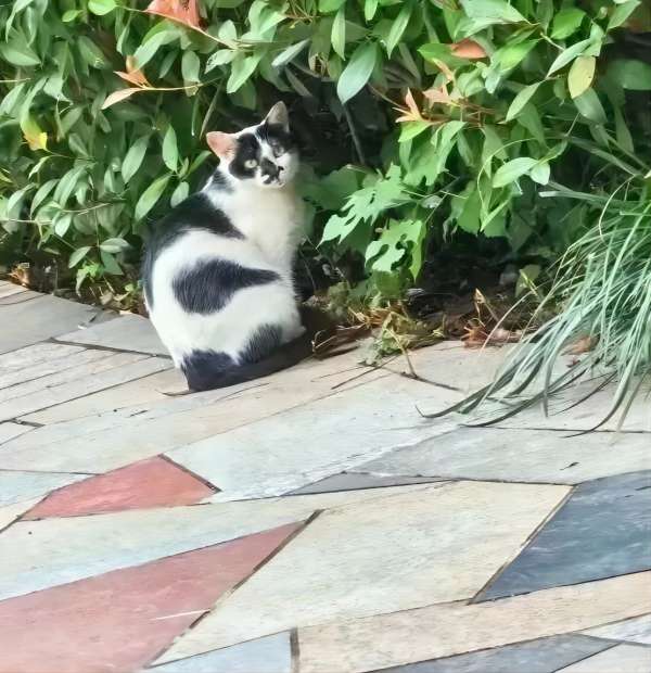 米乐mile官方网站||管理学院||脆皮大学生急救指南