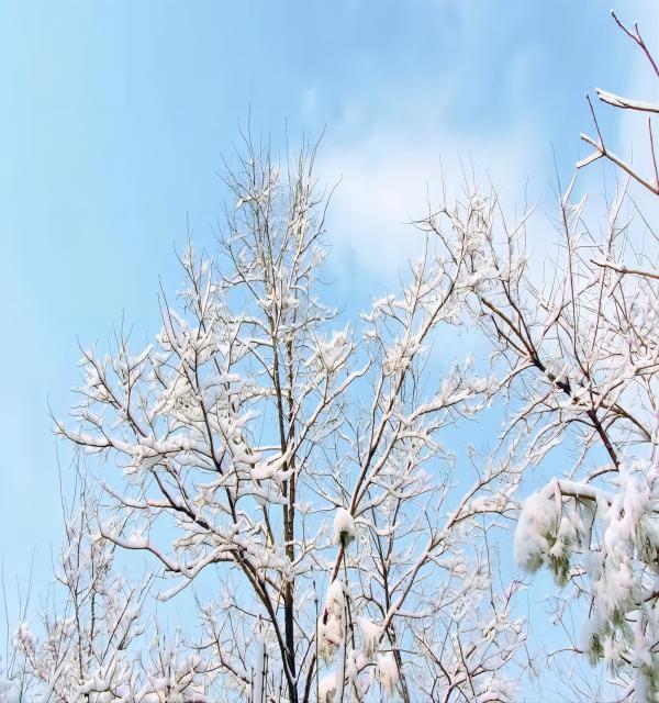 米乐mile官方网站||管理学院||换季指南——做好防护，注意保暖