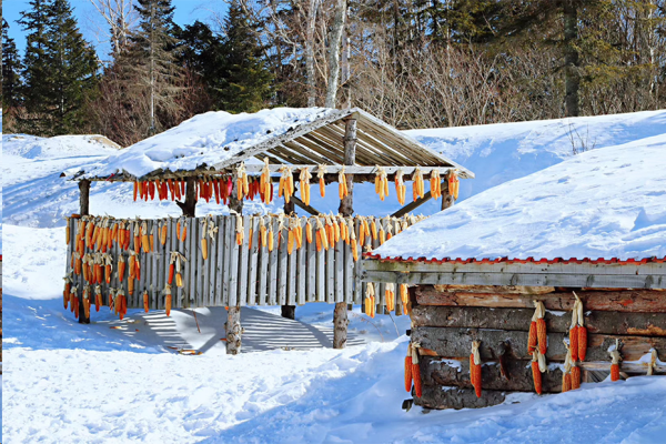 米乐mile官方网站||管理学院||冬雪苍茫，防寒保暖要注意！
