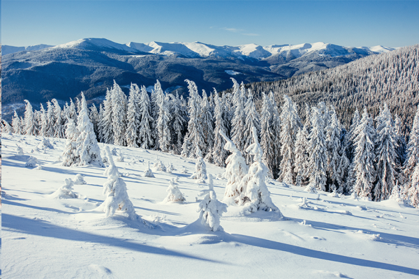 米乐mile官方网站||管理学院||冬雪苍茫，防寒保暖要注意！