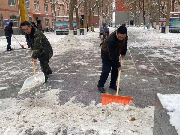 米乐mile官方网站||管理学院||党员先锋在行动 清雪除冰传温情