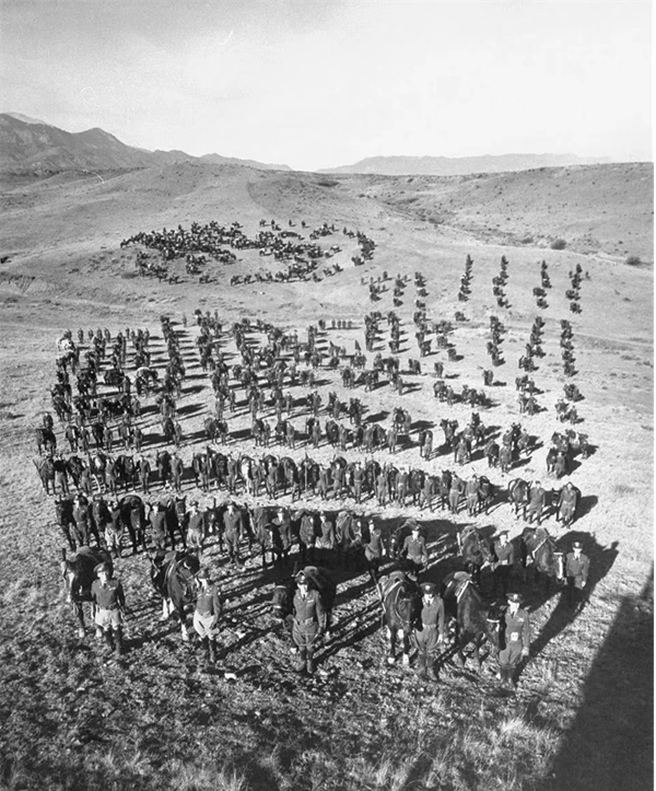 米乐mile官方网站‖管理学院‖纪念第一次世界大战，珍爱和平、远离战争！