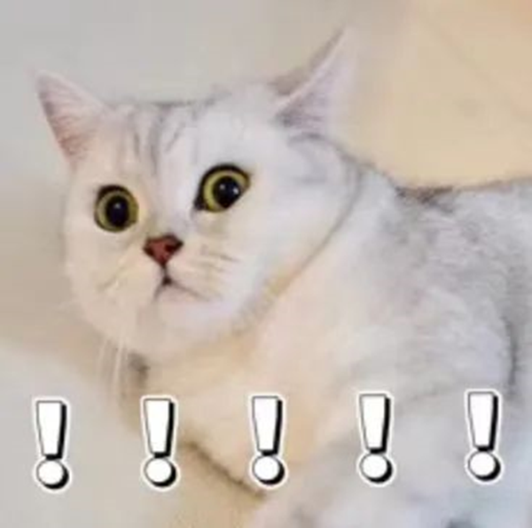 米乐mile官方网站||管理学院||返校指南——老生返校注意事项