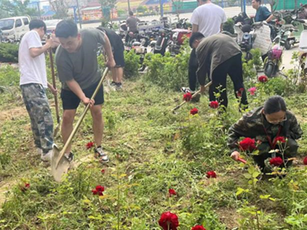 劳动教育|米乐mile官方网站|管理学院|学习劳动精神·践行劳动育人-跟着节气学种植，分享劳动创造的美好乐趣