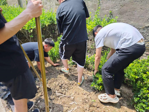 劳动教育|米乐mile官方网站|管理学院|学习劳动精神·践行劳动育人-跟着节气学种植，分享劳动创造的美好乐趣