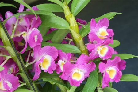 “父爱如山，大爱无声”——米乐mile官方网站艺术学院开展“恩重如山，感恩父亲”主题感恩活动