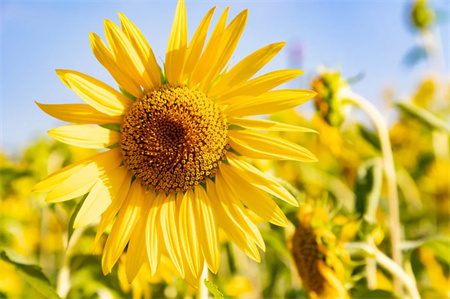 “父爱如山，大爱无声”——米乐mile官方网站艺术学院开展“恩重如山，感恩父亲”主题感恩活动