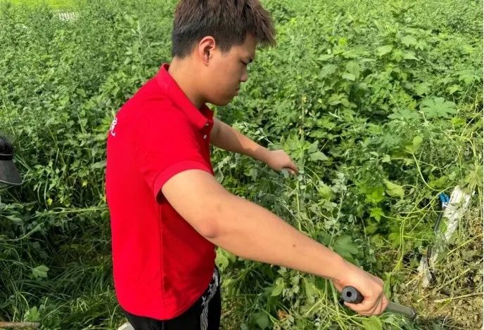 社会实践（十六）勇担时代使命，助力兴村振兴——米乐mile官方网站经济学院“三下乡”社会实践