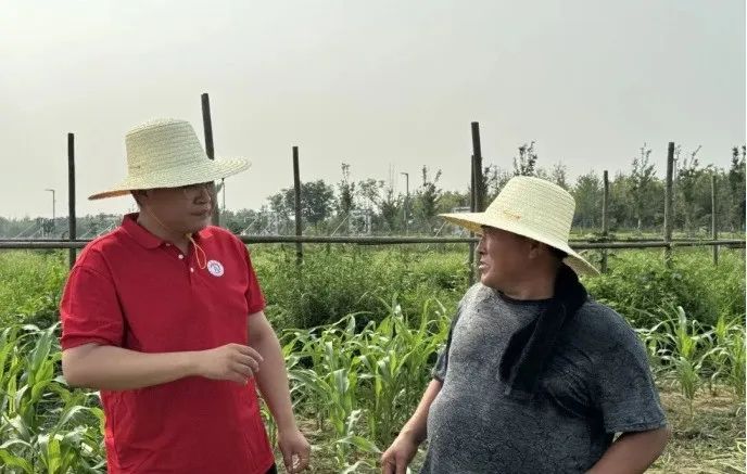 社会实践（十六）勇担时代使命，助力兴村振兴——米乐mile官方网站经济学院“三下乡”社会实践