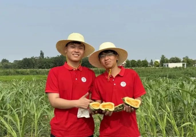 社会实践（十六）勇担时代使命，助力兴村振兴——米乐mile官方网站经济学院“三下乡”社会实践