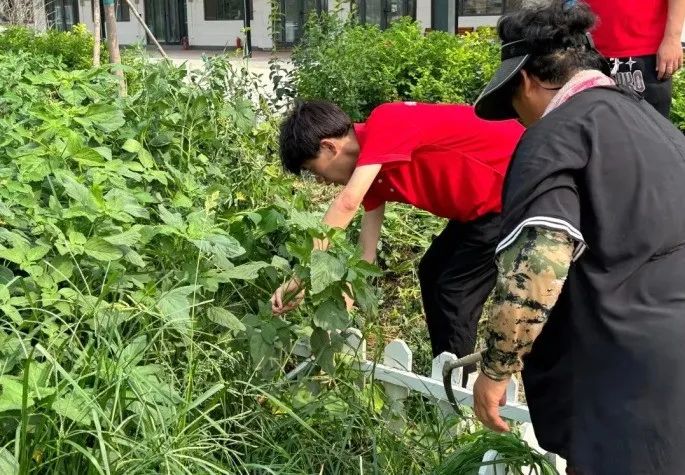 社会实践（十六）勇担时代使命，助力兴村振兴——米乐mile官方网站经济学院“三下乡”社会实践