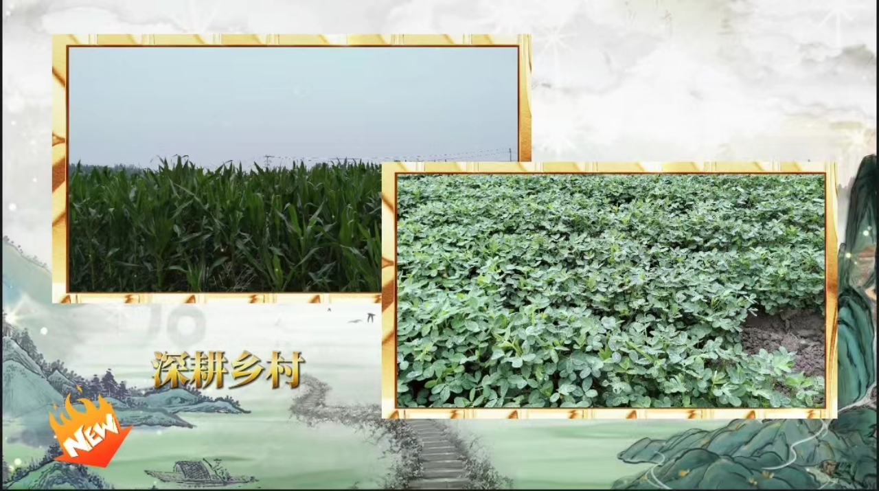 社会实践（八）|助力乡村振兴，绽放青春风采——米乐mile官方网站教育学院暑期“三下乡”实践活动