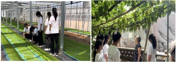 社会实践（九）|乡村振兴，青春先行——米乐mile官方网站教育学院暑期“三下乡”社会实践活动