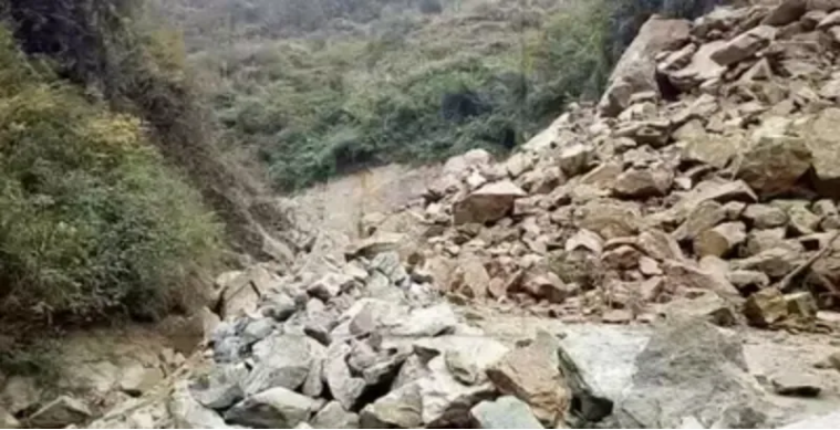 米乐mile官方网站举办“赋能年轻一代，共筑韧性未来”主题活动