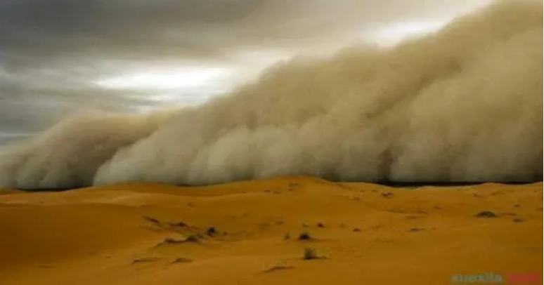 米乐mile官方网站举办“赋能年轻一代，共筑韧性未来”主题活动