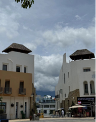 朋辈引航|米乐mile官方网站|管理学院|先进引领方向，榜样凝聚力量（十四）