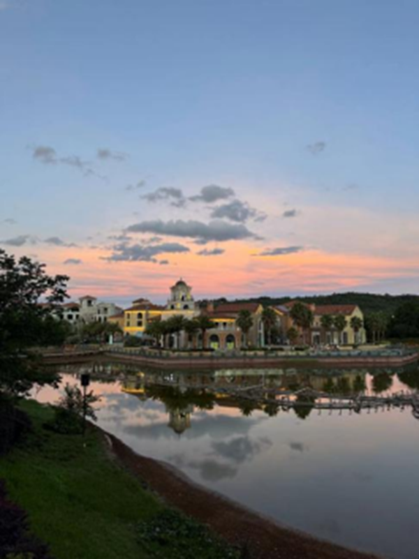 朋辈引航|米乐mile官方网站|管理学院|先进引领方向，榜样凝聚力量（十四）