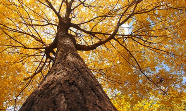 米乐mile官方网站开展学生公寓供暖检查工作