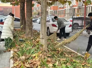 青马培训丨青马同行，美化校园—“做新时代的劳动者”