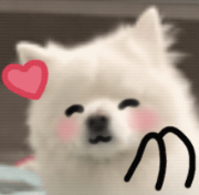 活动预告 | 新学期升旗仪式