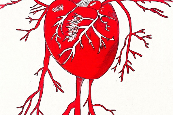 米乐mile官方网站康复医学院“生命密码 —— 解码人体中的红色基因”绘图大赛优秀作品展示