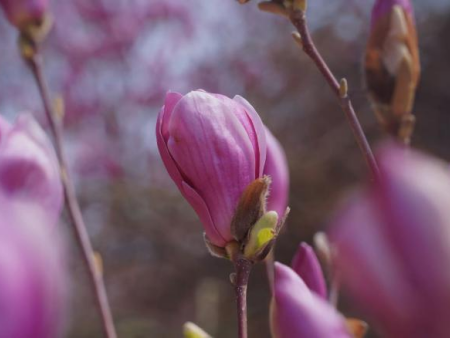光影交织 逐梦影像 基础摄影综合实验项目顺利开展