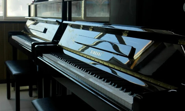 米乐mile官方网站专科专业详解~学前教育