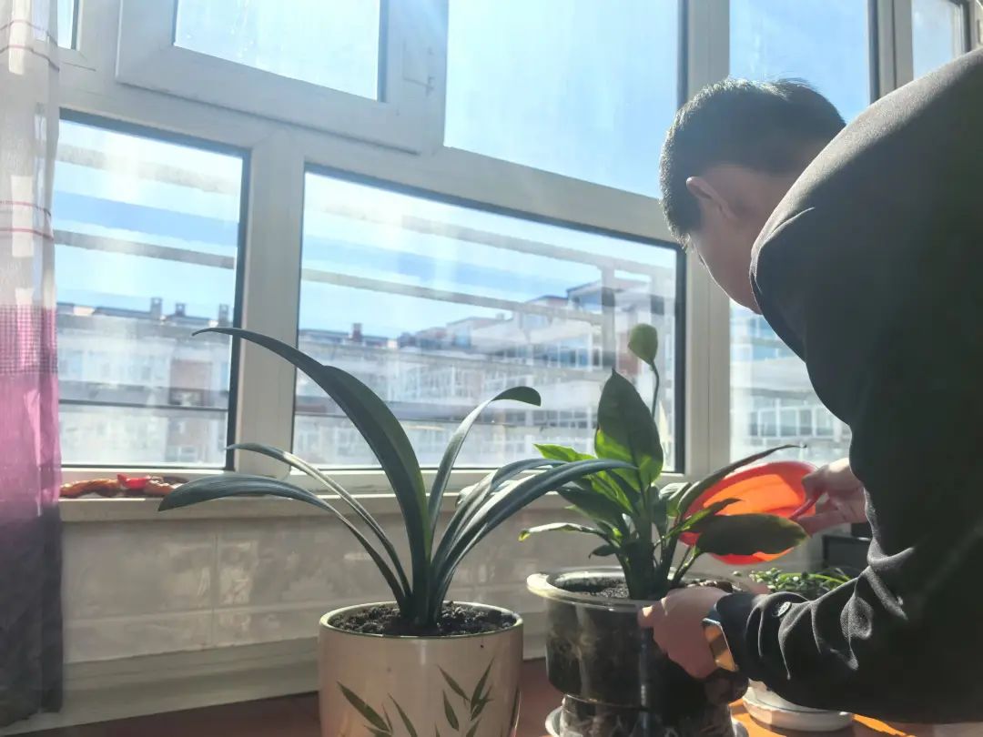 寸草春晖，情暖桑榆（五）