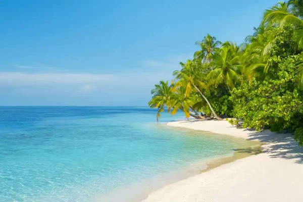 寒假过半|米乐mile官方网站|管理学院|寒假苦学添才智，新春奋进铸辉煌