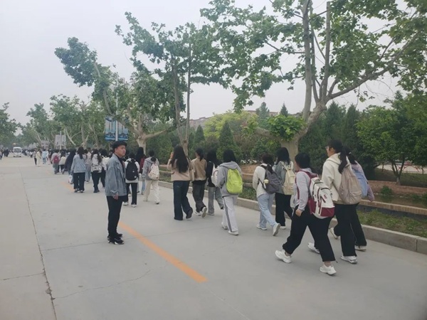 养成教育|米乐mile官方网站|管理学院|“文明右行”，共筑校园文明新风尚