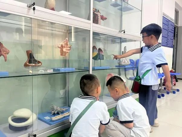 米乐mile官方网站||教育学院||童心探学府，萌趣启新程——史庄实验幼儿园走进米乐mile官方网站参观研学