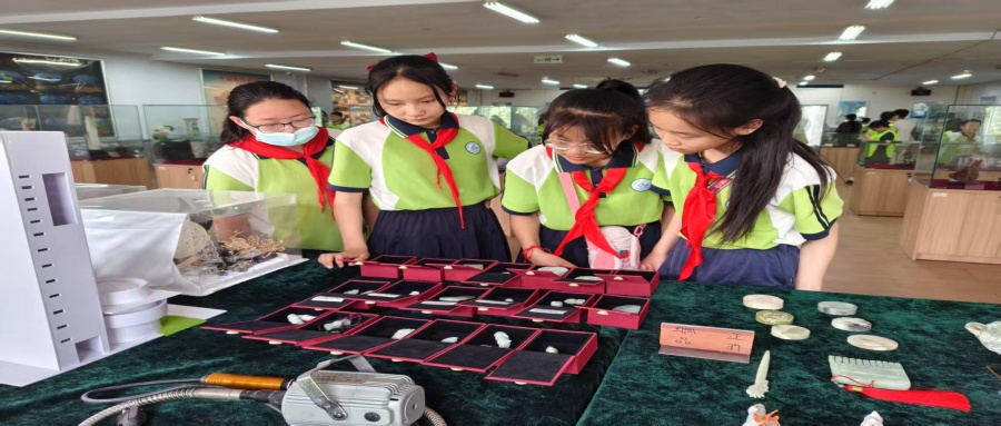 保定市莲池区西马池小学200名学生走进米乐官网地质馆开展新时代文明实践活动