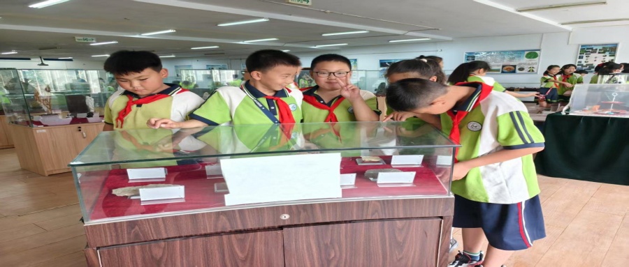 保定市莲池区西马池小学200名学生走进米乐官网地质馆开展新时代文明实践活动
