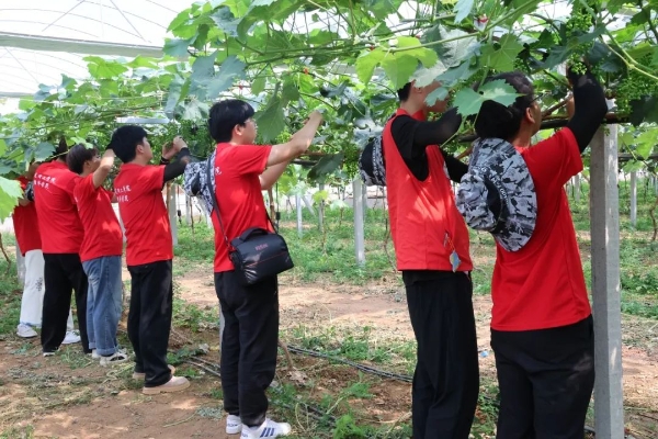 劳动砺心智，实践育新人——经济学院走进盛尧都市生态农场，开展劳动教育实践活动
