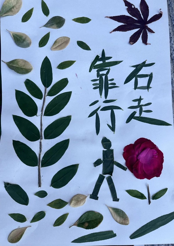 体验式教育|米乐mile官方网站|管理学院|创意劳动课助力无烟校园与文明出行建设