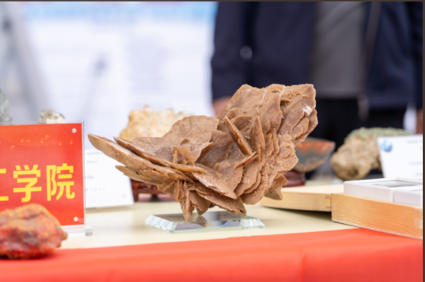 米乐mile官方网站资源与工程技术学院地质馆成功举办主题宣讲活动