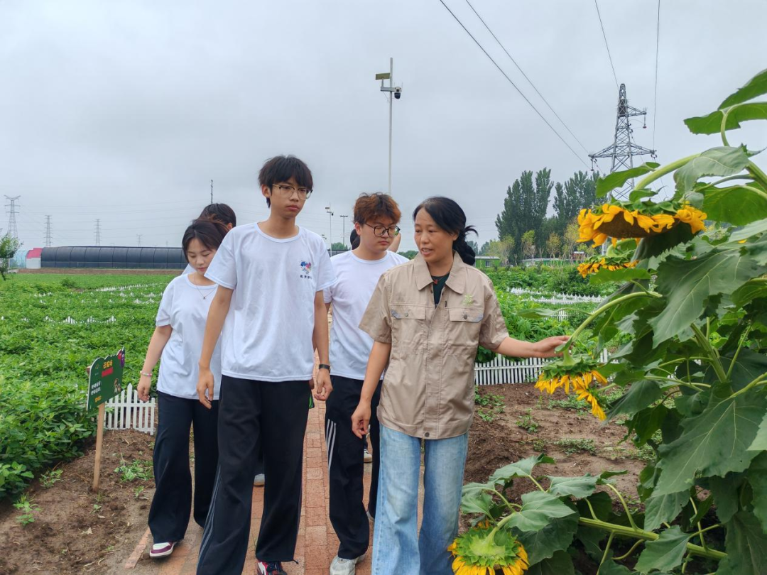 暑期社会活动实践（二）：保定市满城漕河沐阳农业生态园授牌活动